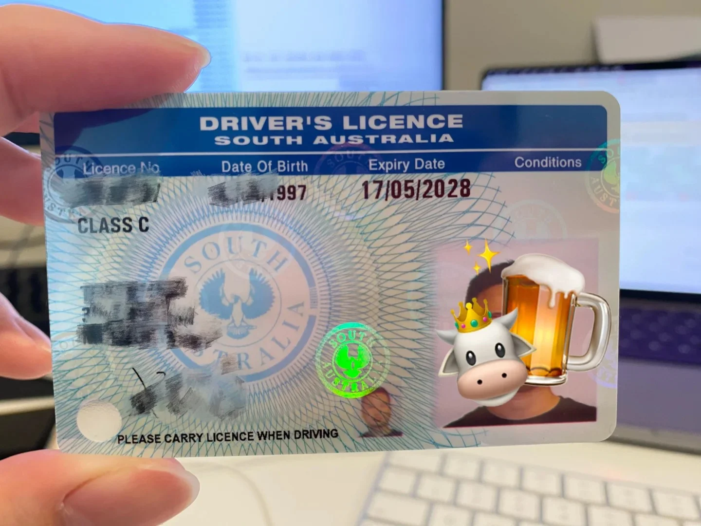 South Australian driver licence held in hand